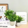 Fleurs décoratives simulées Mini plante en pot petites plantes artificielles bonsaï faux pour la maison jardin bureau Table chambre décoration ornements