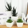 Decorative Flowers Simulated Mini Potted Plant Small Artificial Plants Bonsai Fake For Home Garden Office Table Room Decoration Ornaments