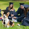犬のアパレルペット卒業キャップブラックグレードハット犬用イエロータッセルコスチューム子犬猫のアクセサリー