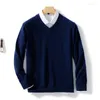 Men's Sweaters Cashmere Blend Knitting V-neck Pullovers Spring Winter Male Wool Knitwear High Quality Jumpers Clothes