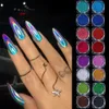 Paznokcie Glitter 16PCS Hologograficzny gwóźdź brokat w proszku Sparkle Silver Różowy niebieski brokat odbijający pigment Materiały manicure NTL0116 230729