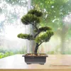 Dekorativa blommor hylla små falska skrivbordsdekorationer inomhus bonsai träd växter mini abs prydnad tall