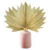 Fleurs décoratives 1 PC bord dentelé ventilateur de quenouilles fleur sèche feuilles de palmier pampas herbes branches bricolage décorations de mariage décor à la maison artisanat