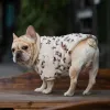 Mode luxe chien vêtements pour animaux de compagnie pour l'hiver imprimé léopard bouledogue français manteau doux Designer moyenne fourrure Hoodies 210804