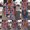 Chemises décontractées pour hommes Chemisier à manches longues Chemise Mode et loisirs pour hommes Bouton d'impression numérique 3D Revers Jour de l'indépendance T-shirts courts en polyester