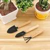 Set di utensili manuali professionali 3PCS Attrezzi per piante da giardino Mini manico in legno Pala Rastrello Vanga Bonsai Kit di piante grasse per invasatura Diserbo 211G