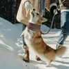 Собачьи воротники Scorf Solid теплый воротник бандана на открытом воздухе для питомца