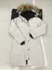 冬のカナダの女性パーカ濃い暖かい毛皮の取り外し可能なフードダウンジャケットのスリムコート高品質のドゥドゥーンM5T0＃