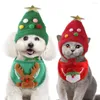 Pies Apparel Pet Cat Christmas Hat with banan szczeniąt Scyta Święty Sanf Party świąteczne urocze kostium dla małych psów koty akcesoria