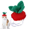 Köpek giyim çilek kedi şapka Sevimli cadılar bayramı ile ayarlanabilir kayış kostümü po prop evcil dekorasyon