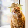 Dog Apparel Sombrero Hat- Adjustable Party Hat Sun Cap Accessories For Small Medium Puppy Cat Costumes ( Yellow )