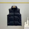 NF Puffer Hommes Doudoune Face Manteaux Outwear Broderie Col Montant Lâche Épais Fermeture Éclair Mode Vestes D'hiver Vêtements D'extérieur Recyclé Thym Noir Red Goose 2S1B4