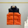 Nf Puffer Piumino da uomo Cappotti frontali Capispalla Ricamo Colletto rialzato Cerniera spessa spessa Moda Giacche invernali Capispalla Riciclato Nero Timo Oca rossa 43MXP