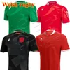 NOWOŚĆ 2023 Walia Rugby Jersey Drużyna narodowa koszulki Cymru Sever Wersja Puchar Świata Polo T-shirt 22 23 Top Welsh Rugby Trening
