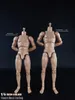 Figurines militaires COOMODEL 1/6 Standard Muscle Homme Soldat Corps BD001 BD002 BD003 BD004 25/27CM Figurine Militaire Poupée 230729