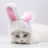 Odzież dla psa kociak szczeniaka kreskówka z kapeluszami pies koty koty zabawne czapki ubieraj się impreza cosplay kostiumów akcesoria produkty dla zwierząt domowych