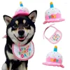 Hond Kleding Schattige Huisdieren Slabbetje Taart Vorm Kat Verjaardag Hoed Verstelbare Puppy Kitten Konijnen Caps Party Cosplay Kostuum Hoofddeksels