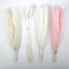 Decorative Flowers Lychee Life 22pcs Artificial Plants Pink Setaria Viridis Fluffy Pampas Grass Boho Reed Simulated Wedding Party Home Decor