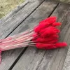 Dekorative Blumenkränze, 3540 cm, 50 Stück, getrocknetes Hasenschwanzgras, getrockneter natürlicher Kaninchenschwanzstrauß, DIY Hasenschwanzblume für Heimdekoration, Hochzeit 230731