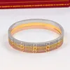 Klassischer Vollbohr-Armbandverschluss mit Schraubverschluss, luxuriöser 18-Karat-Gold- und Silber-Titanstahl-Diamant für Damen und Herren. Lieben Sie Designer-Schmuck, Party- und gesellschaftliches Geschenk