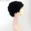 Parrucche parrucche sintetiche non elaborate con peli di bambini afro ricci nessuno in pizzo parrucche davanti a umano per donne nere capelli vergini brasiliani ru