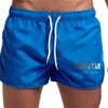 Pantaloni da uomo Pantaloncini da uomo Beach Classic Workout Mesh Summer Fashion Brand Hawaii Vacation Swimming Clothing