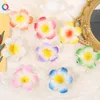 Egg Blossom Duck Clip Fashion Hairpin Female Bangs Duck Clip Sweet Simulation Flower Side Clips Huvudbonad hårklipp för kvinnor flickor 2332