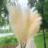 Decorative Flowers Wreaths 5Pcs Faux Pampas Grass Large 12010085cm Flower Bouquet Fake Artificial Decor Tall Fluffy Stems Living Room 230731