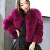 Pele Feminina 2023 Inverno Feminino Casaco Moda Temperamento Estilo de Rua Soild Cor Diariamente Comutação Casaco Quente Inteiro Feminino