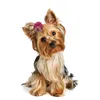 ملابس الكلاب 50/100pcs شبكة الشعر شبكة أقواس الشعر الأليف ملحقات النطاقات المطاطية لوازم للقطط الصغيرة