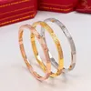 Klassischer Vollbohr-Armbandverschluss mit Schraubverschluss, luxuriöser 18-Karat-Gold- und Silber-Titanstahl-Diamant für Damen und Herren. Lieben Sie Designer-Schmuck, Party- und gesellschaftliches Geschenk