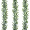 Decoratieve Bloemen 1.8m Kunstmatige Eucalyptus Rotan Bruiloft Woondecoratie Geld Blad Gras Achtergrond Gewelfde Muur
