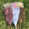 20PC Getrocknete Blumen 120cm Natürliche Schilf Bouquet Künstliche Pampas Gras Blume Für Home Room Decor Hochzeit Geburtstag party Gefälschte Pflanzen JL1730