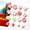 Aimants pour réfrigérateur 10 pièces mignon fleur aimants pour réfrigérateur rose petit magnétique Photo autocollants Mini aimants pour réfrigérateur décor x0731