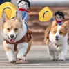 Fantasias engraçadas para cães de Halloween Roupas para animais de estimação Cowboy Vestir-se e casacos Bulldog Francês Chihuahua Roupas para cães de festa L230621