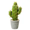 Flores decorativas Planta falsa prática Realista Cactus em vaso Ornamental Simulação útil Decoração de jardim simples