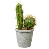 Flores decorativas Planta falsa prática Realista Cactus em vaso Ornamental Simulação útil Decoração de jardim simples