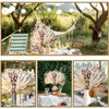 Decorative Flowers Wreaths Natural Plant Dried Pampas Grass Bouquet Boho Reed Flower Wedding Scene Po Shoot Ornaments Thanksgiving Home Decoration 230731