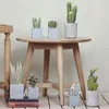 Kwiaty dekoracyjne kaktus sztuczne rośliny dekoracja domu wysokiej jakości soczysty roślina sztuczna aloes fałszywy bonsai home pokój biurko dekoracje