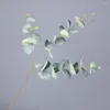 Flores Decorativas Artificial Eucalipto Não Murcho Simulação Ramo Folhas Falsas