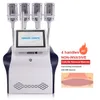 4 Cryo Platen Cool Body Beeldhouwen Vet Freeze Cryolipolyse EMS Afslanken Machine Cellulitis Vermindering Vet Bevriezing Huidverstrakking machine