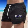 Pantaloni da uomo Pantaloncini da uomo Beach Classic Workout Mesh Summer Fashion Brand Hawaii Vacation Swimming Clothing