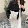 Designer 2023 Bohemian Tassel Straw Woven Bag Small Square Single Shoulder Oblique Straddle Seaside Resort Beach Style