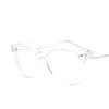 Óculos de sol Frames de moda Men's Computer Opyeglasses para mulheres Transparentes Espectáculos Praça Readinga Estudante Óculos femininos Eyewear