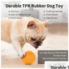 犬のおもちゃのおもちゃを噛むスパイキーボールスクイーキーチューボールは、子犬の歯とペットのクリーニングのためのトラの弾力性のある耐久性のある耐久性のあるTPRラバーでドロップデリバリーを用意しています。