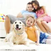 Collari per cani Guinzagli Collare per pulci e zecche per animali domestici per cani Gatti Prevenzione fino a 8 mesi Anti-zanzara Repellente per insetti Forniture per cuccioli Dhdte