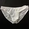 Slip homme sous-vêtements Sexy glace soyeux slips culotte mâle Gay pénis poche éléphant nez Jockstrap renflement taille basse doux