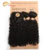 Morceaux de cheveux Kinky Curly Bundles With Closure Natural Human Short Indian Circular 230728