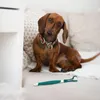 Hondenkleding 2-delige verzorging met drie koppen voor het reinigen van huisdieren Borstelen van huisdieren zoals honden en katten