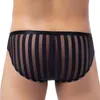 Cuecas masculinas de marca cueca sexy malha cueca transparente ultrafina cueca cuecas listradas bolsa para pênis lingerie erótica